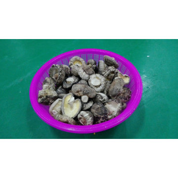 Shiitake Dried High Quality Smooth Mushroom